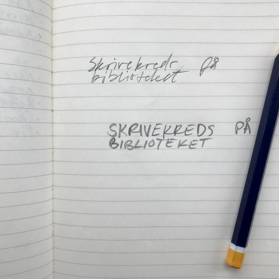 To sætninger skrevet i en notesbog og en blyant, der ligger på siden
