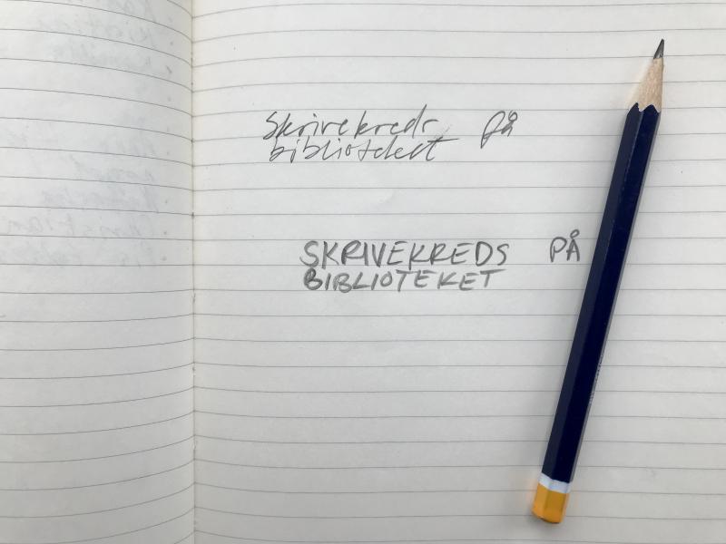 To sætninger skrevet i en notesbog og en blyant, der ligger på siden