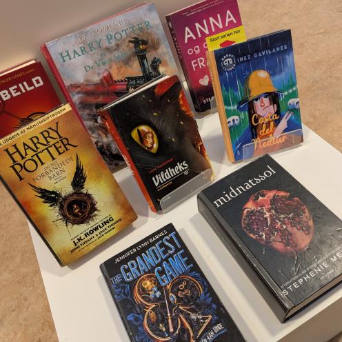 Bogudstilling med praktikantens favorit bøger